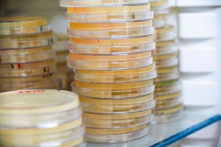 1737785963_Descubren-mecanismo-que-aumenta-resistencia-de-superbacterias-intestinales-a-antibioticos.jpg