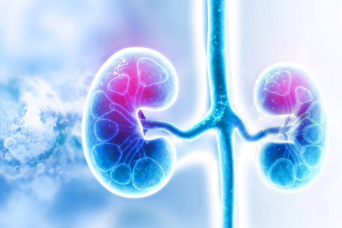 1741712578_7-millones-de-espanoles-desconocen-que-padecen-enfermedad-renal-cronica.jpg