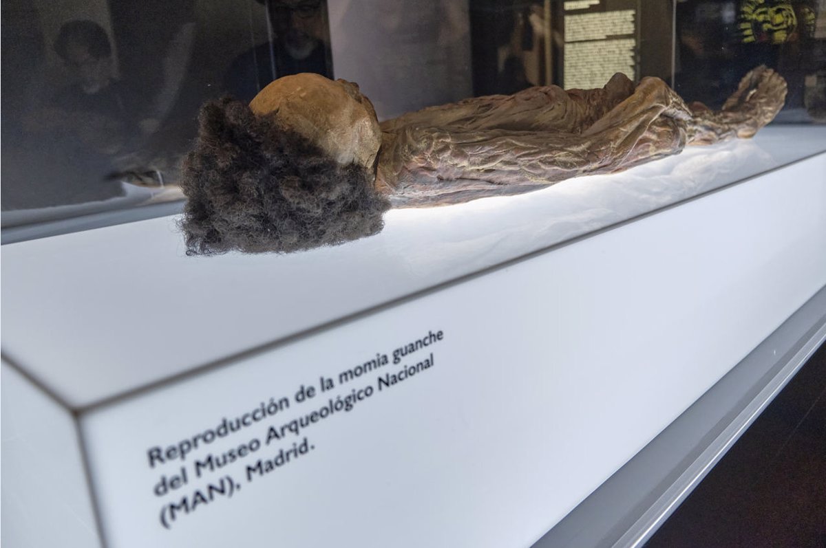 Almacenes-de-Museos-Estatales-albergan-mas-de-14700-restos-humanos.jpg