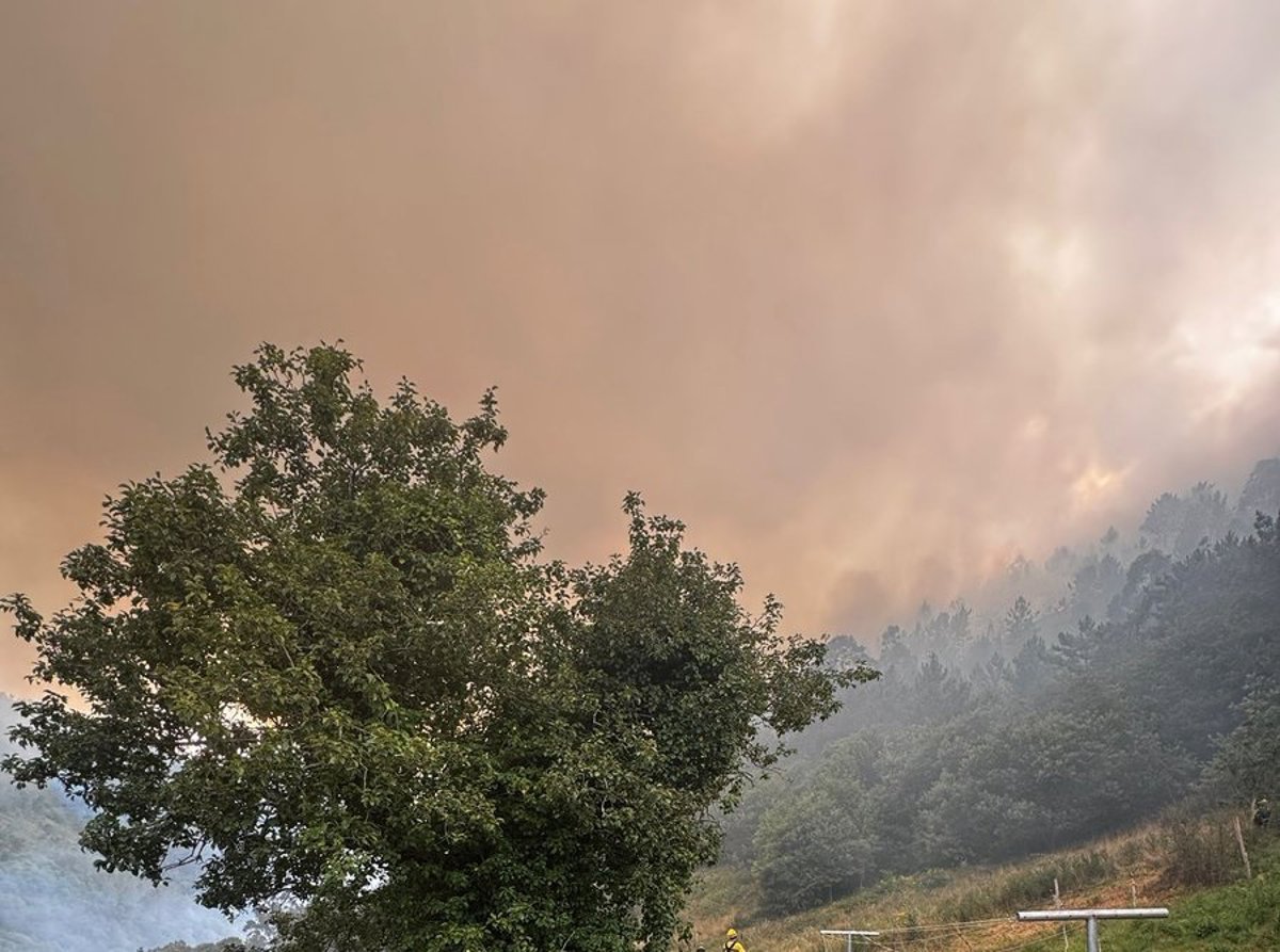 Bomberos-combaten-incendio-forestal-en-Villayon-Asturias.jpg