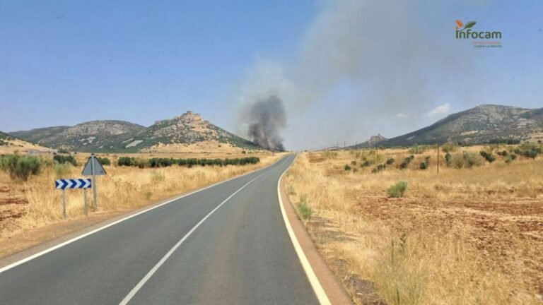 Controlado-el-incendio-en-Aldea-del-Rey-nivel-1-alcanzado.jpg