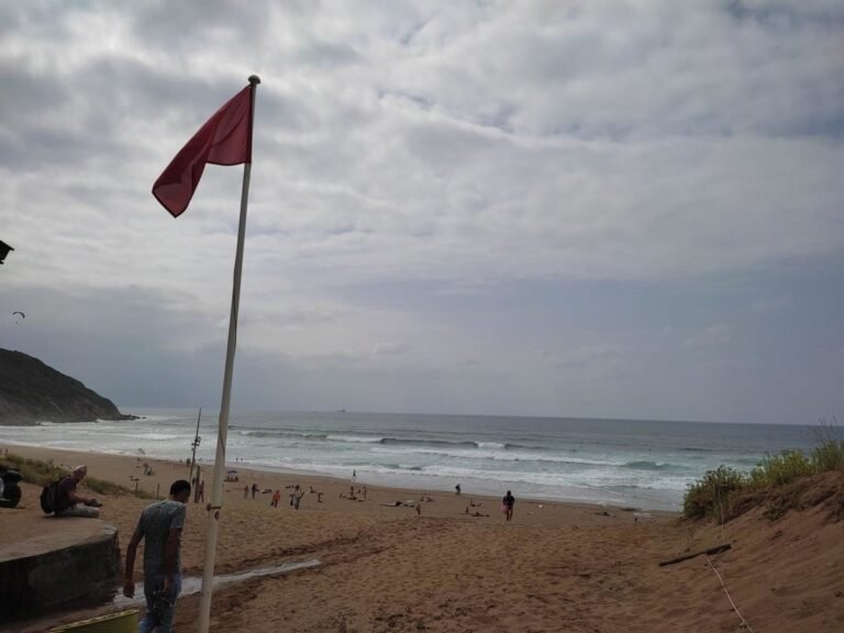 La-bandera-roja-ondea-en-dos-playas-vizcainas-por-presencia.jpg