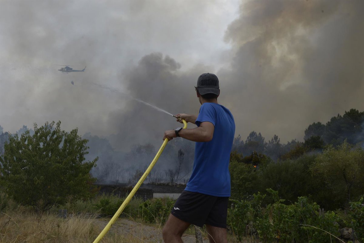 La-mortalidad-por-particulas-finas-de-incendios-podria-estar-subestimada.jpg
