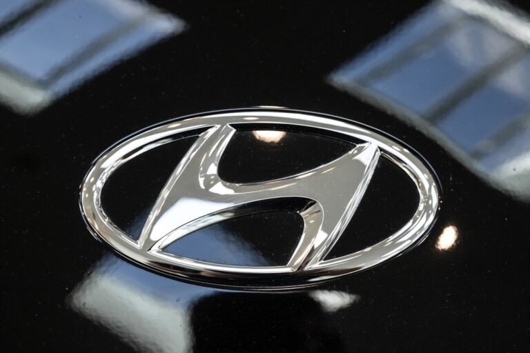 Cientos-de-trabajadores-detenidos-en-una-fabrica-de-Hyundai-en.jpg