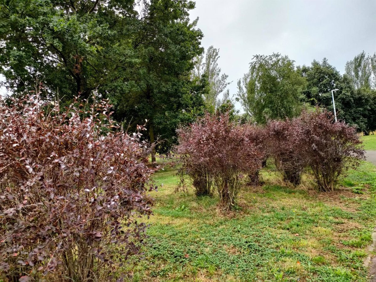 Tiempo-nuboso-con-temperaturas-en-ascenso-en-Euskadi.jpg