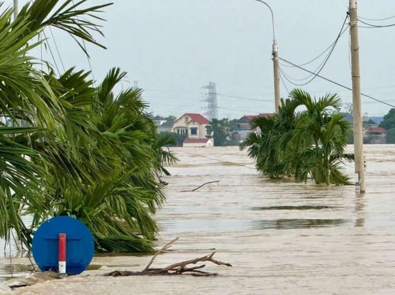 Ampliacion-de-operaciones-de-emergencia-de-World-Vision-en-Vietnam.jpg