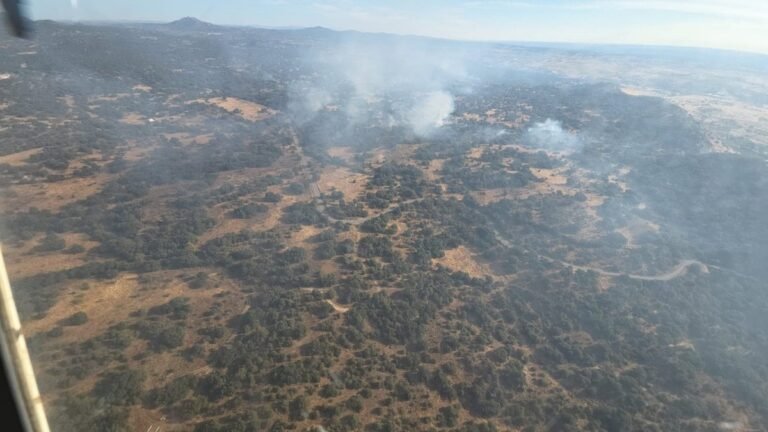 Controlado-el-incendio-de-Almorox-en-Toledo-tras-tres-dias.jpg