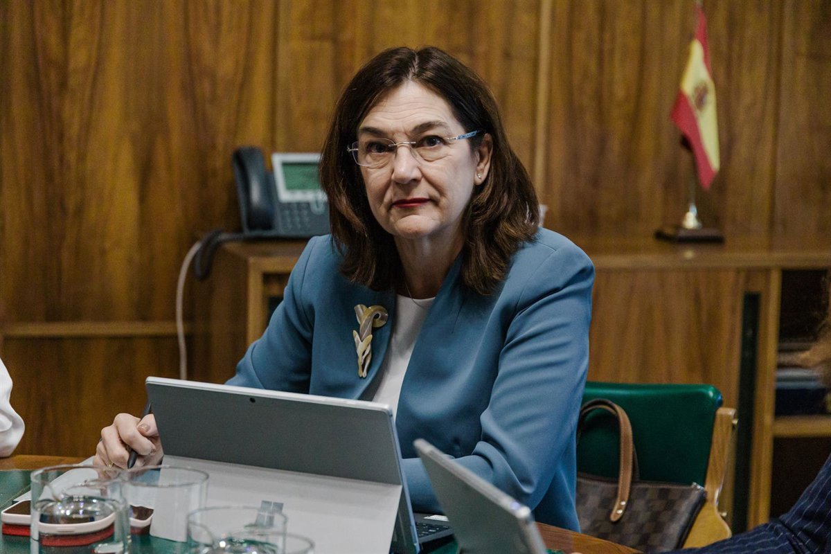 La-CNMC-busca-solucion-a-objeciones-del-Consejo-de-Estado.jpg