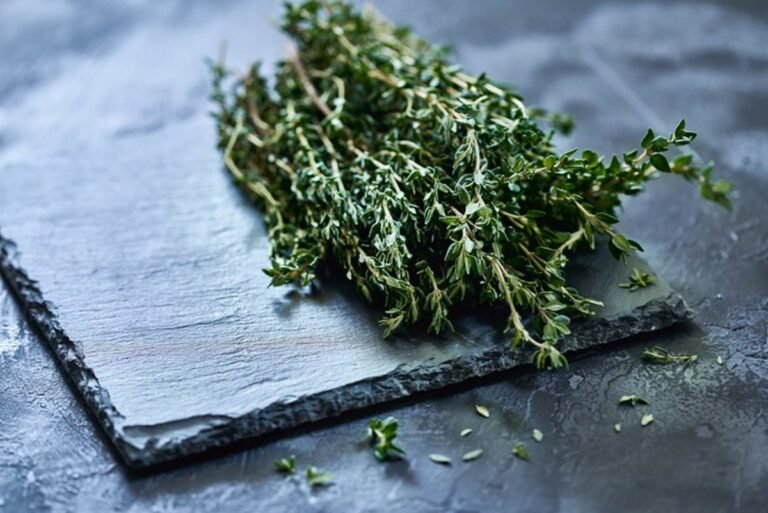 Descubren-como-encapsular-nanodosis-de-tomillo-para-aprovechar-sus-propiedades.jpg