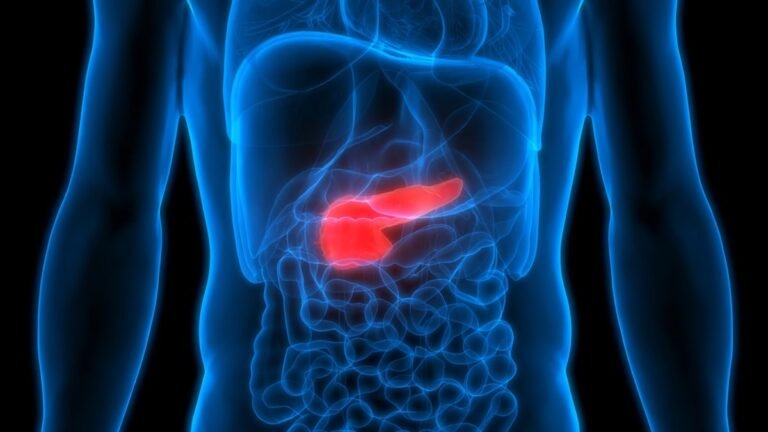 Logran-erradicar-tumores-de-pancreas-en-ratones-con-triple-terapia.jpg