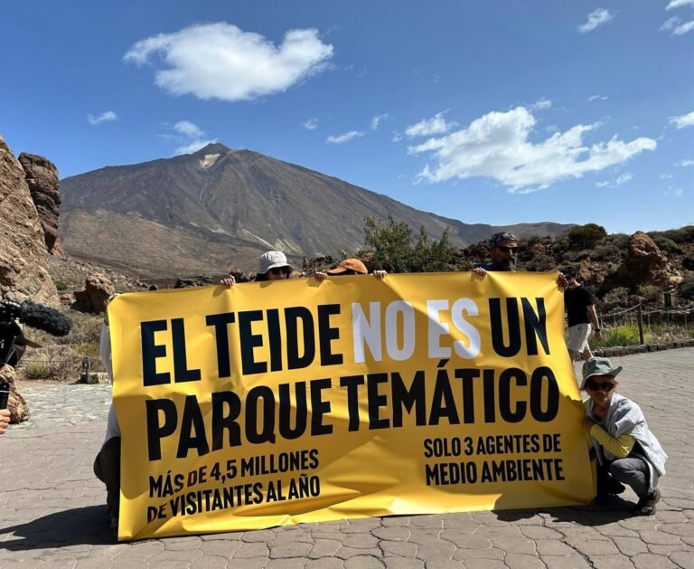 Mas-de-veinte-colectivos-ecologistas-impugnan-el-PRUG-del-Teide.jpg