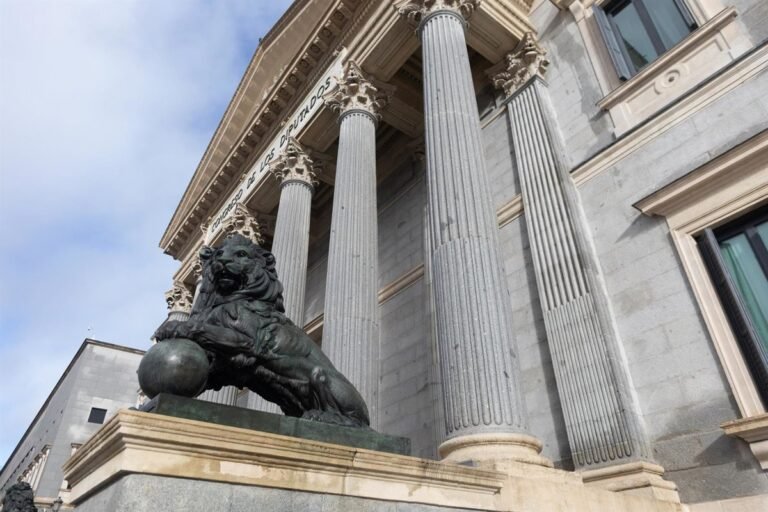 El-Congreso-aprueba-una-propuesta-del-PSOE-para-combatir-el.jpg
