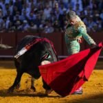El-Senado-insta-al-Gobierno-a-proteger-al-toro-de.jpg