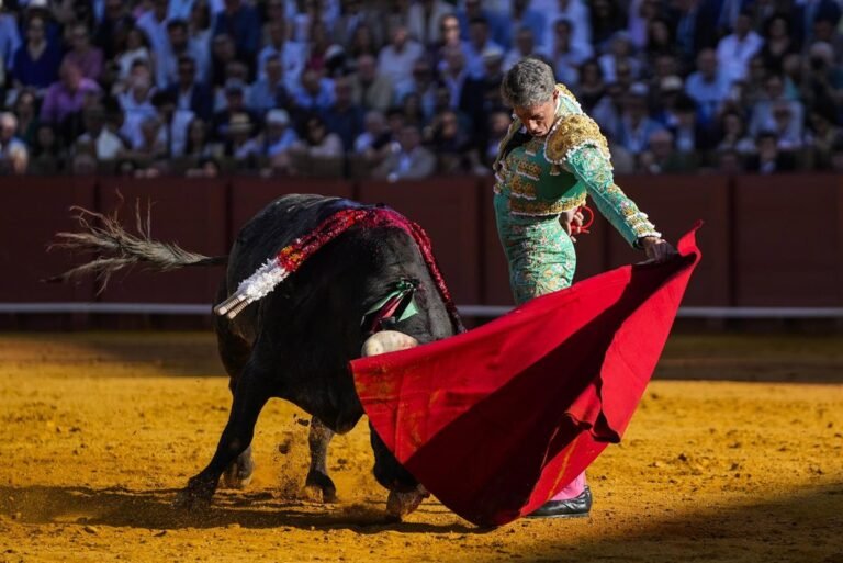 El-Senado-insta-al-Gobierno-a-proteger-al-toro-de.jpg